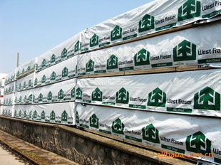 建筑建材中的常青树 木材的应用与价值