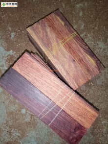 中国木材行业供应商网新闻频道 洞察木材市场动态，引领产业绿色发展